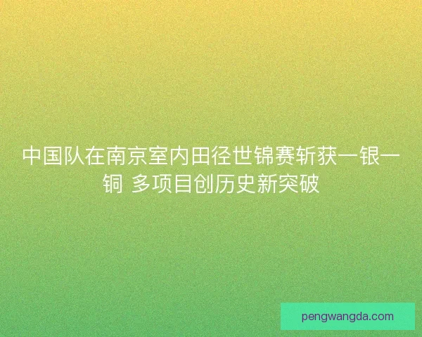中国队在南京室内田径世锦赛斩获一银一铜 多项目创历史新突破
