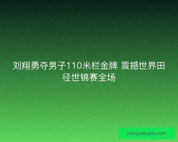 刘翔勇夺男子110米栏金牌 震撼世界田径世锦赛全场